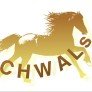 Avatar of Chwals Horses