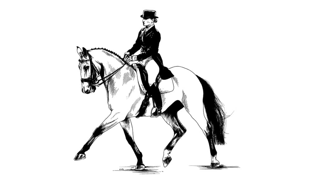 The magic of riding stands with freedom, mastership, balance,and harmony. More than just a compromise.