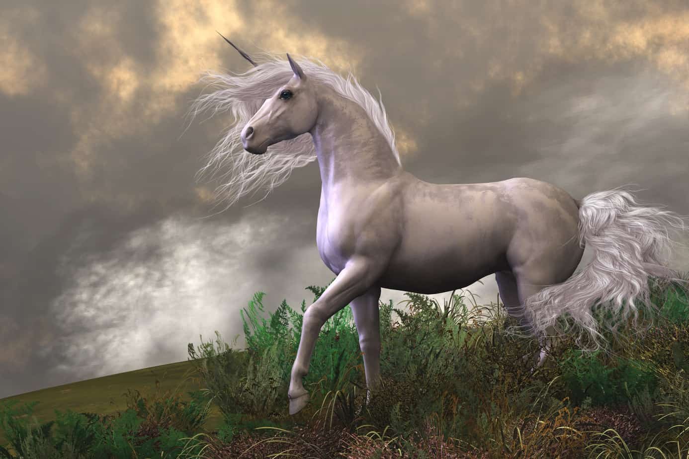 the-unicorn-blog-in-peace-with-feather