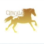 What does chwals mean?