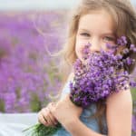 The fragrance of Lavender