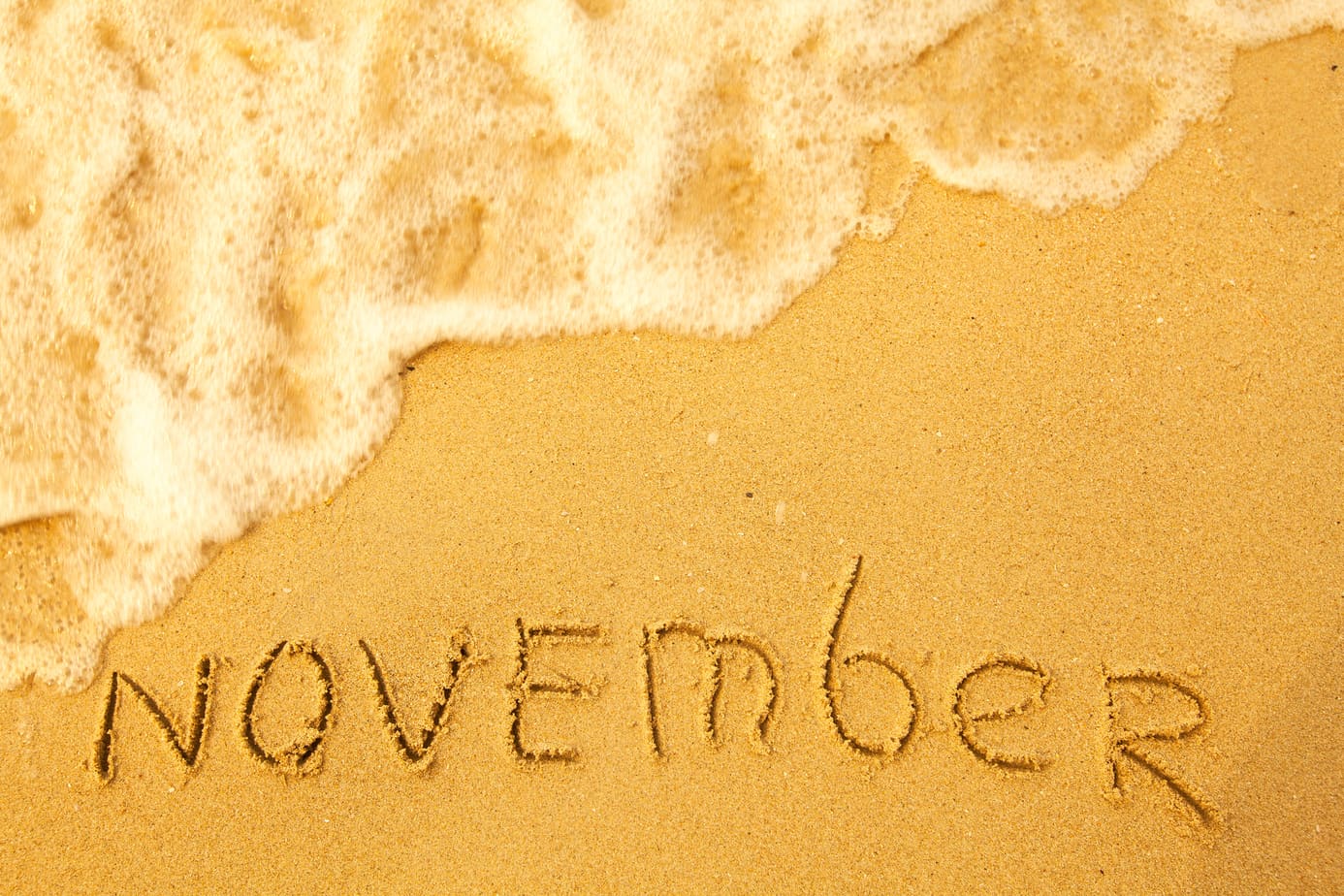 International Days for November