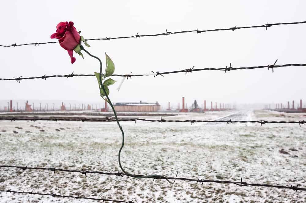 International Day of Commemoration in Memory of the Victims of the Holocaust. Let us never forget!