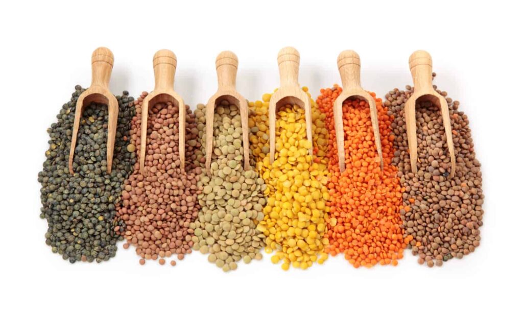 World pulses day. Lentils, beans, peas, ... We all know them, but do we know how healthy they are