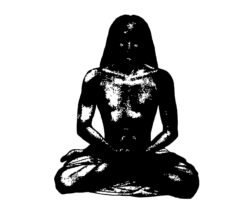 Genesis and Kriya Yoga