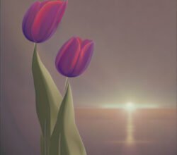 The Tulip in 4 Religeous Traditions