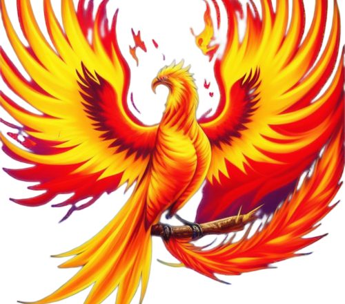 The myth of the phoenix