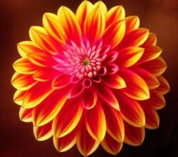 Mexico’s National Treasure