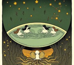 Strange Bathing Folios Of The Voynich Manuscript Strange Bathing Folios of the Voynich Manuscript