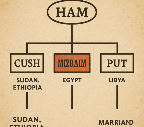 Ham Youngest Son Of Noah  Ham Youngest Son of Noah